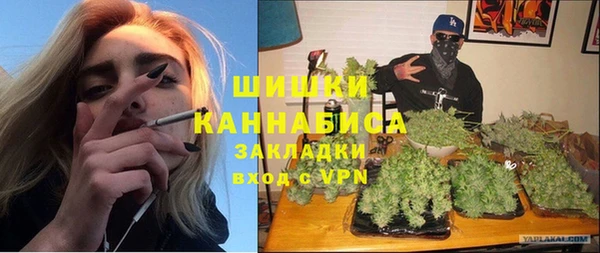 spice Богородск