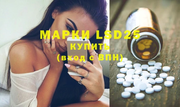 мяу мяу мука Бородино