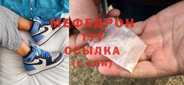 spice Богородск