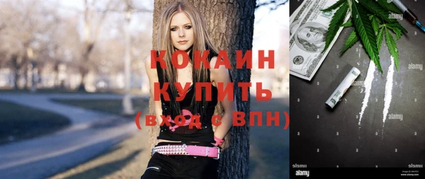 spice Богородск